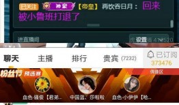 坑神返场爆料视频下载安装,揭秘下载安装全过程