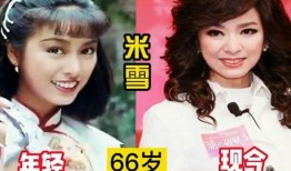 娱乐圈明星爆料故事,明星爆料背后的真实故事
