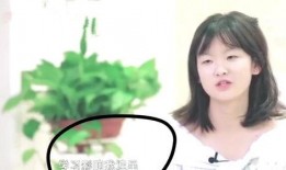 哪个吧的娱乐圈爆料可靠,哪个吧独家爆料，真相大白