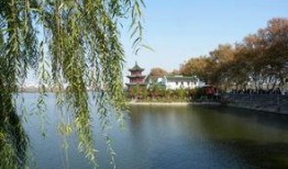 甘棠公园爆料视频下载,公园美景与趣事一网打尽