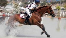 网红骑马爆料事件视频播放,视频播放引发热议