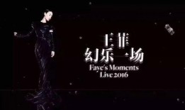 导演爆料演唱会事件视频,幕后真相曝光