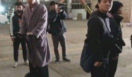 叶问爆料视频大全集在线观看,揭秘武术宗师传奇一生
