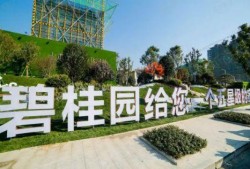 碧桂园爆料最新消息恒大,碧桂园独家爆料揭示发展新篇章”