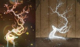 遇见神鹿最新的爆料视频,揭秘神秘事件背后的惊人真相