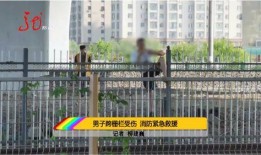 跨越栅栏在线观看,一场跨越时空的视觉盛宴