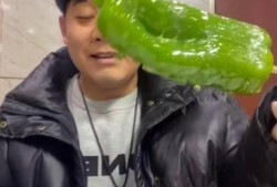 柳州吃瓜事件网红视频,网红视频引发的全民热议
