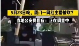 厦门爆料事件视频,事件真相与公众关注焦点