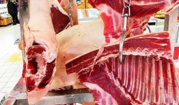 满朝文武都等我瓜吃免费完整版,揭秘免费完整版背后的故事