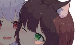 警花被爆料视频小说网,揭秘网络爆料背后的真相