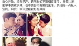 卓伟爆料谢娜视频,真相揭秘