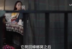 小慧姐爆料视频大全集最新,揭秘娱乐圈不为人知的秘密