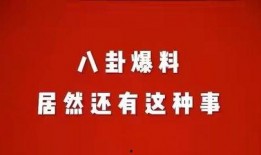 独家爆料八卦娱乐公司,八卦娱乐公司背后的惊人内幕