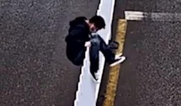 跨越栅栏在线观看,一场跨越时空的视觉盛宴