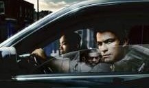 重案组第四季在线观看