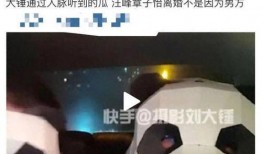 大锤爆料章子怡视频在线观看,章子怡私密视频在线观看，独家揭秘幕后真相