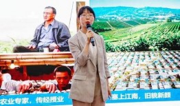 娱乐吃瓜兵时代少年团,娱乐吃瓜兵的青春传奇