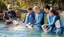 穆里尔的婚礼在线观看