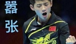 明星爆料张继科视频播放,真相究竟如何？