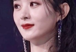 赵丽颖爆料火虫事件视频,揭秘背后真相与心路历程