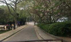 甘棠公园爆料视频下载,公园美景与趣事一网打尽