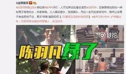 郑远志洗脚店爆料视频播放,揭秘行业背后真相