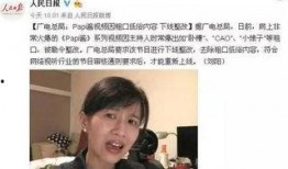 娱乐吃瓜酱视频会侵权吗,侵权风险解析与防范指南