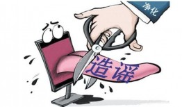 虚假新闻网络爆料案例,一场网络谣言的传播与真相追寻