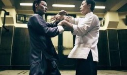 叶问爆料视频大全集在线观看,揭秘武术宗师传奇一生