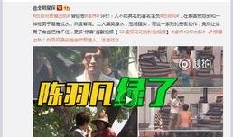 枫丹爆料视频大全集,揭秘游戏幕后精彩瞬间