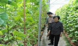 吃瓜最新事件爆料阿福是真的吗,吃瓜群众热议，阿福究竟是不是真的？