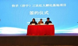 徐州新农人爆料视频,揭秘农村发展新动向