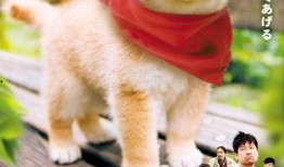 豆柴小犬电影在线观看,温馨电影，在线观看，陪伴你的欢乐时光