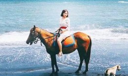 网红骑马爆料事件视频播放,视频播放引发热议