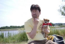 豆柴小犬电影在线观看,温馨电影，在线观看，陪伴你的欢乐时光